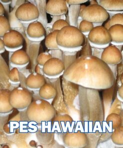 PES Hawaiian Spore Syringe