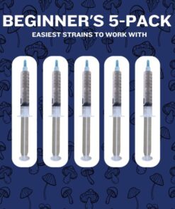 Beginner 5-Pack